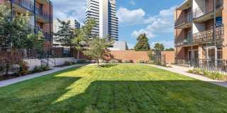 Bellaire Plaza Gallery 18