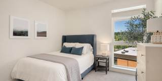 District Flats Gallery 12