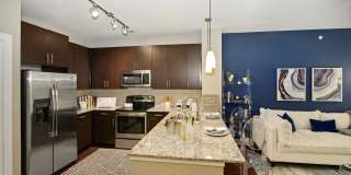 AMLI Campion Trail Gallery 26