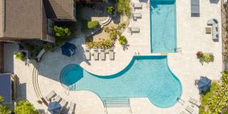 Lake Clearwater Gallery 62