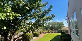 Organ Mountain View’s Sonoma Ranch Gallery 39