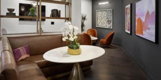 Alexan Gallerie Gallery 21