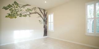 Charming Three Bedroom Napa Home Close to Queen of the Valley Medical Center Gallery 7