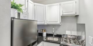 Oliver on LaSalle Gallery 12