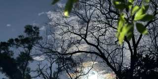 6020 Marie Ave Gallery 1