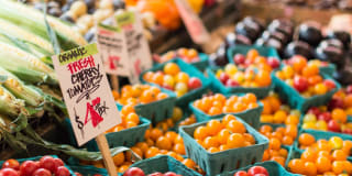 Avana Hamptons Gallery 36