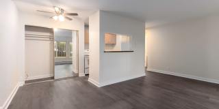 Cordova Apartments Gallery 6