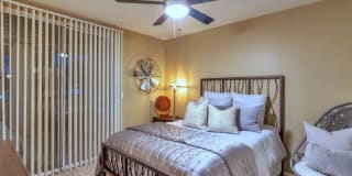 Reflections at Gila Springs Gallery 35