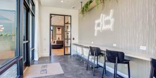 The Met The Met Gallery 45