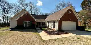 Spacious 4-Bedroom Home with Bonus Room & Exceptional Amenities Gallery 1