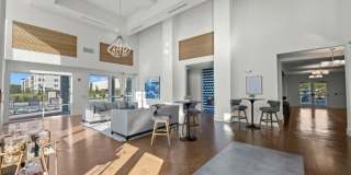 Mosaic at Lake Toho Gallery 4