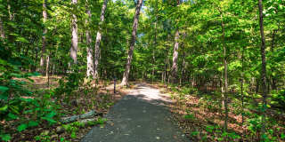 The Gardens on Timberlake Gallery 43