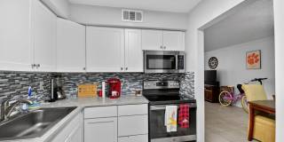 9810 Pineapple Tree Drive Gallery 14