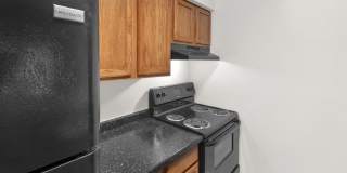 Geno Baroni Gallery 6