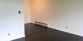 Angeline Gallery 67