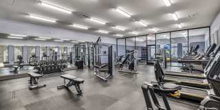 Water Oak Gallery 33