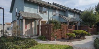 Pacific Vista Gallery 17