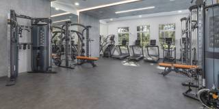 Azola South Tampa - Apartment & Townhome Gallery 8