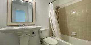 Hidden 4 Bed 2 Bath Gem in South Austin! Gallery 28