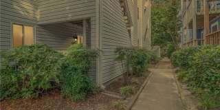 2316 Starfish Road Gallery 3