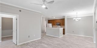 11561 Villa Grand Gallery 12