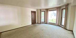 919 S Carpenter Street Gallery 2