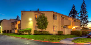 Elevate Apartment Homes Gallery 1