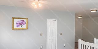 1183 Freesia Ct Gallery 20
