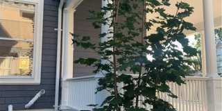 4 Morgan Avenue Gallery 31