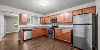 Welcome to Acorn Forest! Gallery 8