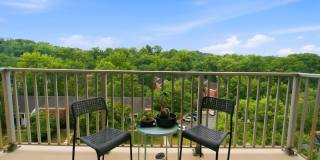 1225 MARTHA CUSTIS DR #709 Gallery 27