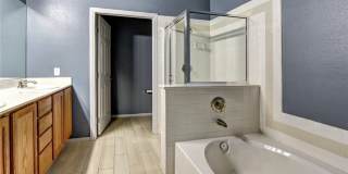 10809 Garden Mist Drive Gallery 12