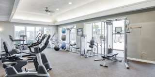 Buena Vista Gallery 22