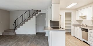 Somerset Terrace Gallery 5