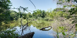 SpringBrook Gallery 35