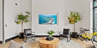 Axis Hamilton Gallery 15