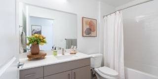 Red Hawk and Laurel Grey Gallery 14