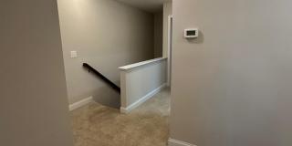 124 Spring Pine Lane Gallery 17
