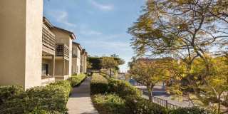 Elan Overlook Laguna Apartments Gallery 17