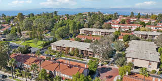 Upstairs Bright 2 bedroom Condo Gallery 1