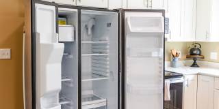 Paugus Woods Gallery 13