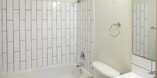 Cleopatra Gallery 14