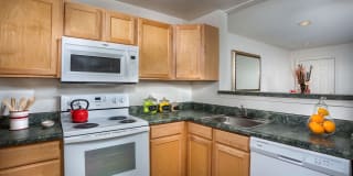 The Ivy Club Gallery 8