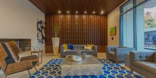 Linden Apartments Gallery 10