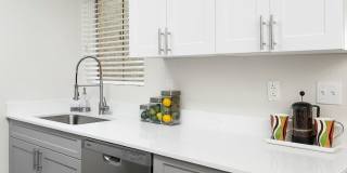 Palm Crest at Station 40 Gallery 4