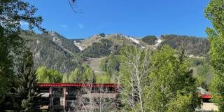 335 Vine Street unit: 335 Gallery 1