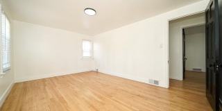 243 Newport Street Gallery 49