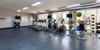 Lake Shore Apartments Gallery 26