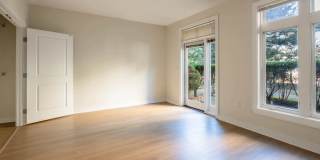 The West End Apartments-Asteria, Villas and Vesta Gallery 70