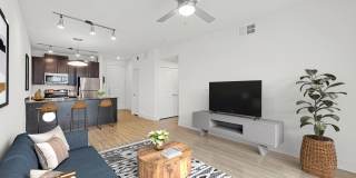The Standard at Domain Northside Apartments Gallery 19